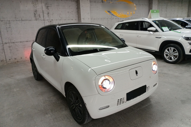 欧拉黑猫 2021款 351km 标准型车身外观3