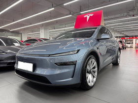 特斯拉 Model Y 2025款 长续航全轮驱动版