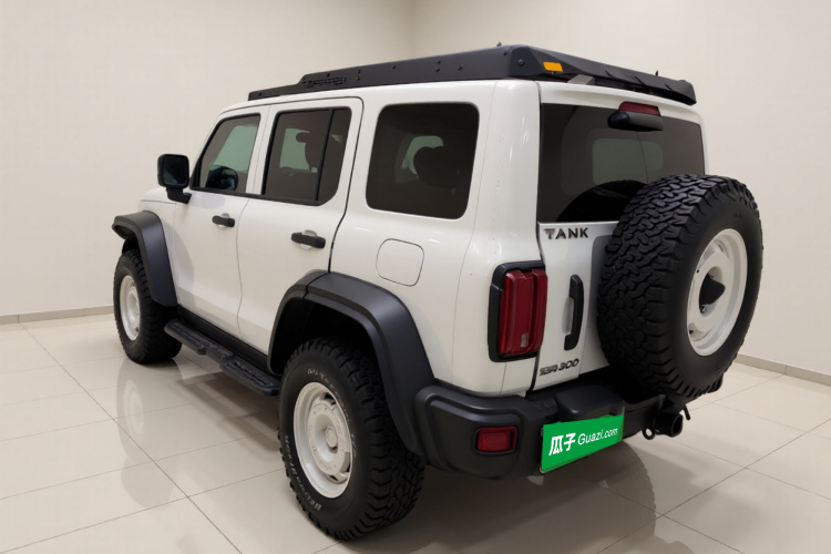 坦克300 2023款 2.0T 铁骑02车身外观5