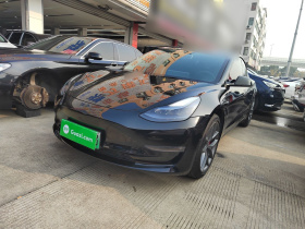 特斯拉 Model 3 2022款 Performance高性能全轮驱动版