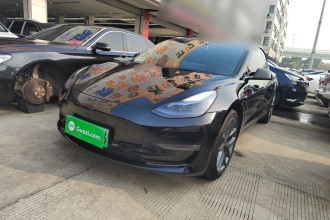 特斯拉 Model 3 2022款 Performance高性能全轮驱动版