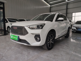 哈弗H6 Coupe 2018款 红标 1.5T 自动两驱超豪型