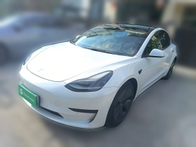 特斯拉 Model 3 2021款 标准续航后驱升级版