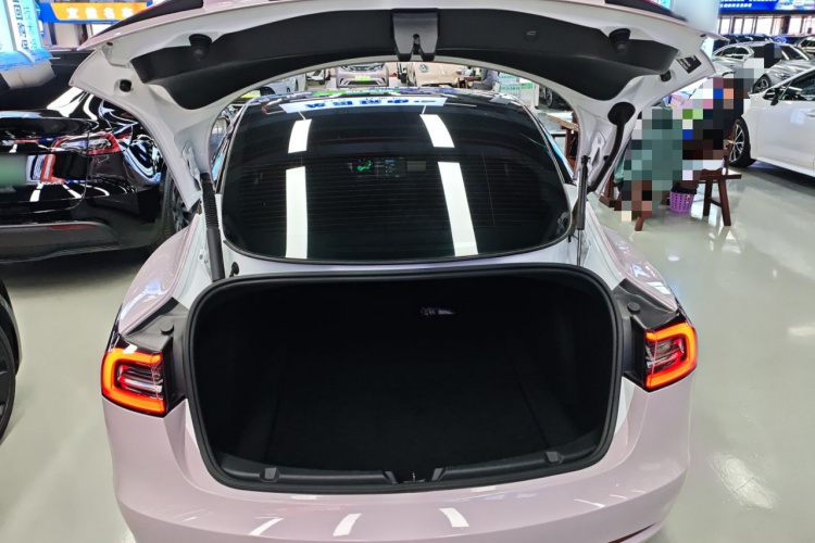 特斯拉 Model 3 2021款 标准续航后驱升级版机舱底盘23