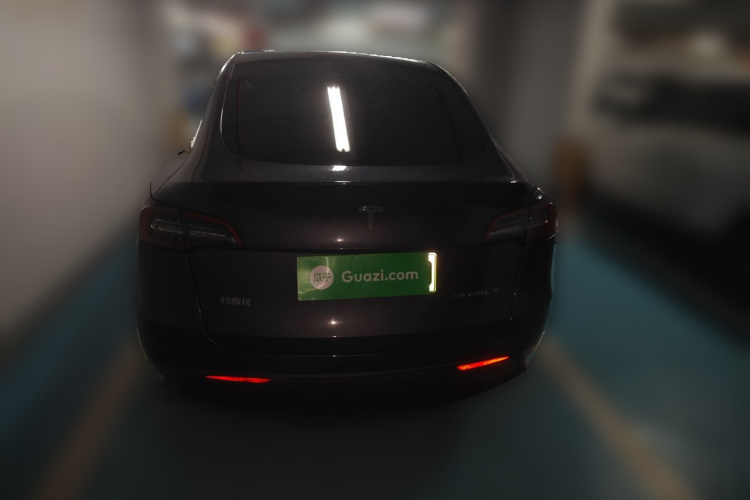 特斯拉 Model Y 2021款 长续航全轮驱动版车身外观6