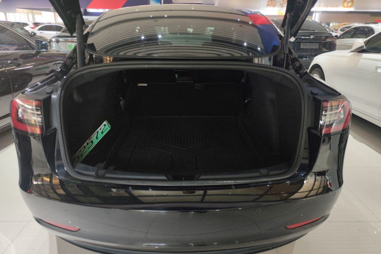特斯拉 Model 3 2021款 改款 标准续航后驱升级版 3D1机舱底盘23