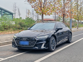 奥迪A7L 2024款 45 TFSI 豪华型