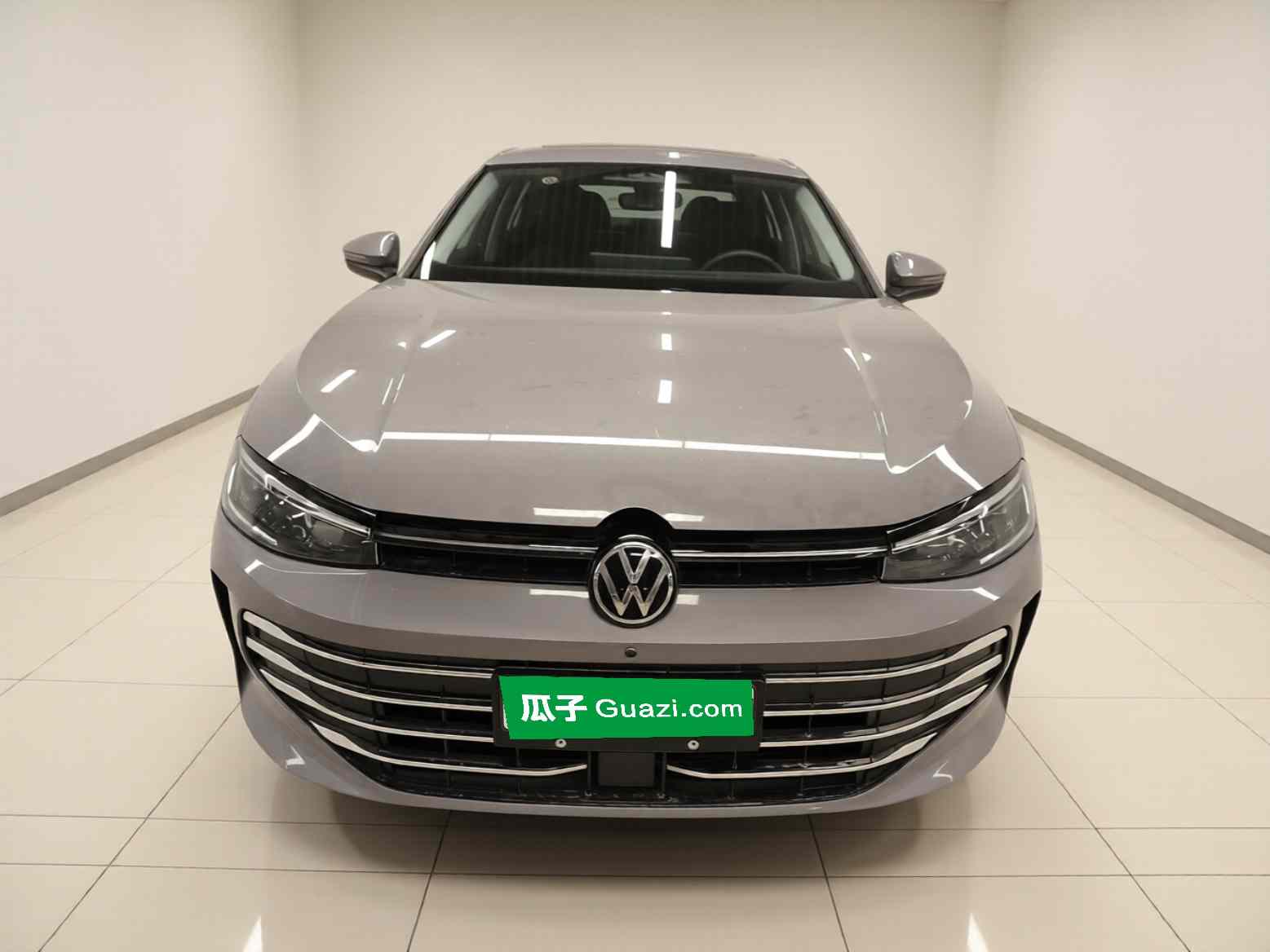 大众 帕萨特 2025款 Pro 380TSI 龙尊版(1)