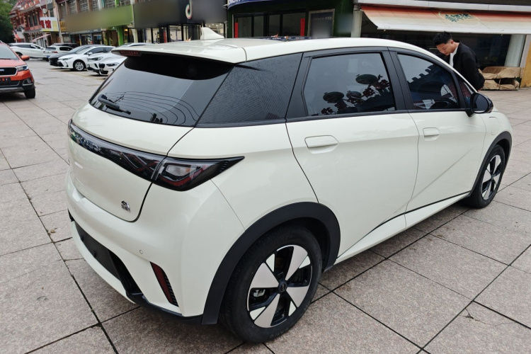 比亚迪 海豚 2023款 420km 时尚版车身外观7