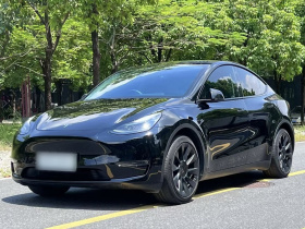 特斯拉 Model Y 2021款 标准续航后驱版