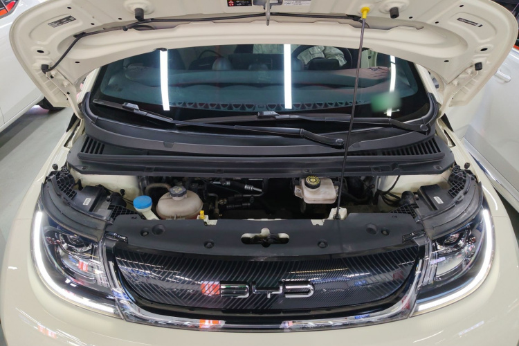 比亚迪 海豚 2021款 405km 时尚版机舱底盘24