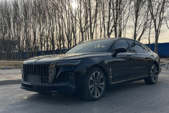 红旗H9 2024款 2.0T 旗畅 私享风尚版