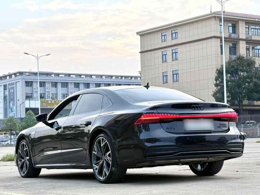 奥迪A7L 2024款 45 TFSI quattro 黑武士版(5)