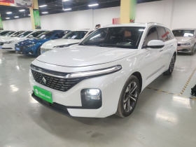 宝骏Valli 2021款 1.5T 那曲繁星 CVT旗舰型