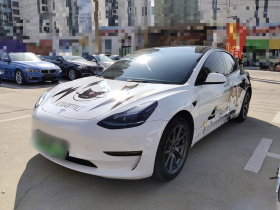 特斯拉 Model 3 2022款 后轮驱动版