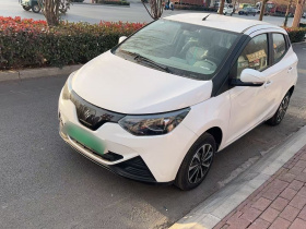 江铃集团新能源 易至EV2 2024款 201km 舒适型