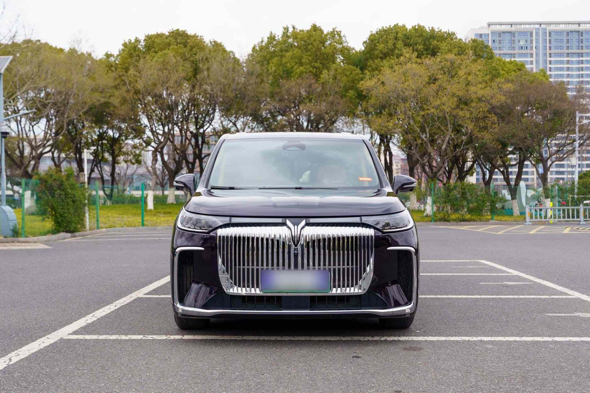 岚图汽车 岚图梦想家 2025款 PHEV 四驱尊贵鲲鹏版(3)