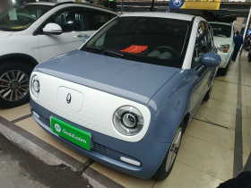 欧拉黑猫 2022款 301km 萌宠版 磷酸铁锂