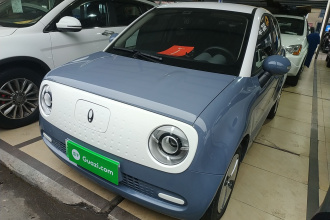 欧拉黑猫 2022款 301km 萌宠版 磷酸铁锂