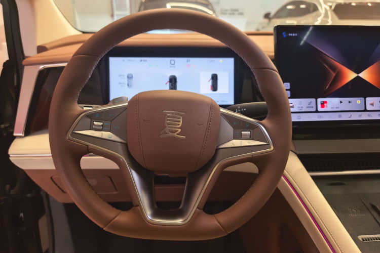 比亚迪 夏 2025款 DM-i 1.5T 180km 超越型局部细节13