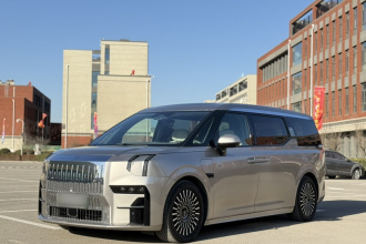 极氪009 2022款 WE版