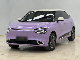 东风纳米 纳米01 2024款 330 Plus智+