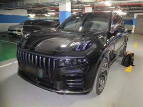 领克09 EM-P 2021款 2.0T PHEV Halo 六座