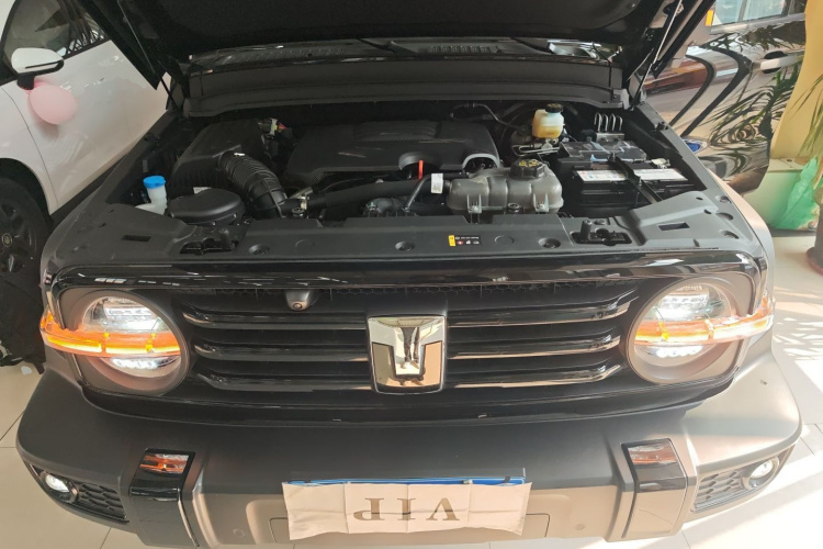 坦克300 2024款 2.0T 挑战者机舱底盘24