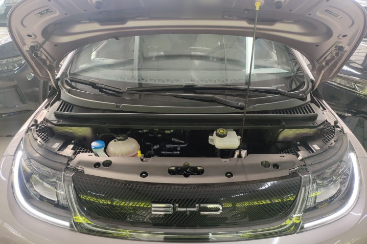 比亚迪 海豚 2023款 420km 时尚版机舱底盘24