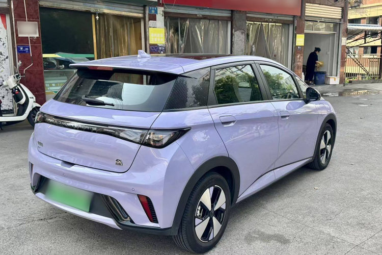 比亚迪 海豚 2023款 420km 时尚版车身外观6005