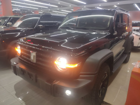 坦克300 2024款 2.0T 挑战者