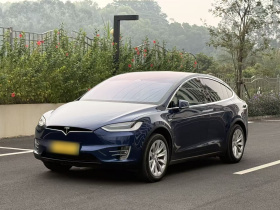 特斯拉 Model X 2019款 长续航版