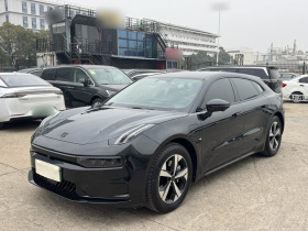 极氪001 2022款 长续航双电机 WE版