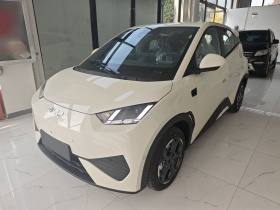 比亚迪 海鸥 2025款 智驾版 305km 自由版