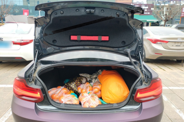 宝马2系(进口) 2019款 225i 运动设计套装局部细节23