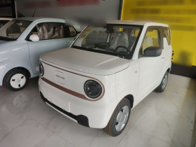 吉利银河 2024款 熊猫mini 200km 龙腾PRO版