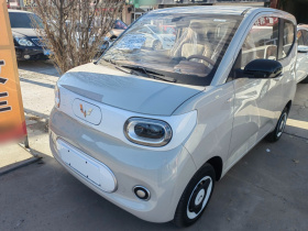 五菱汽车 宏光MINIEV 2024款 第三代 215km 青春版