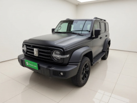 坦克300 2021款 越野版 2.0T 征服者