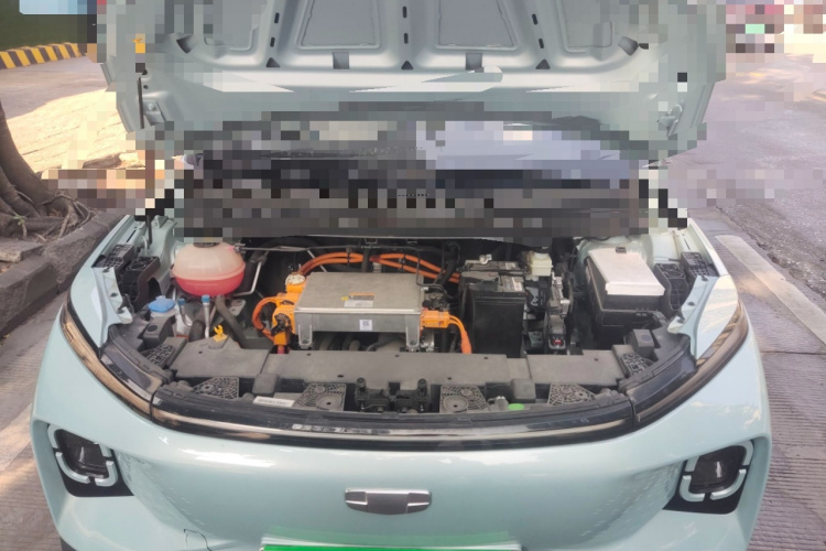 吉利几何E萤火虫 2024款 401km 萤光局部细节24