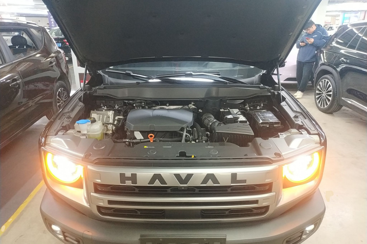 哈弗大狗 2024款 2.0T DCT中华田园犬版机舱底盘24