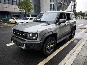 捷途山海 捷途旅行者C-DM 2024款 C-DM 129KM 林野版