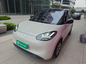 五菱汽车 五菱缤果 2023款 333km 灵犀互联款