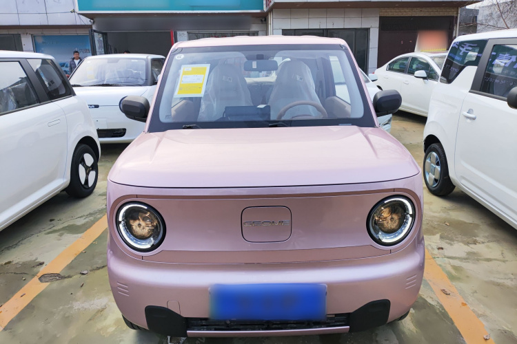 吉利银河 2024款 熊猫mini 200km 耐力熊车身外观6001