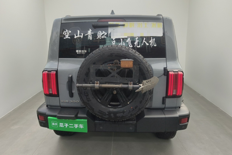 坦克300 2021款 越野版 2.0T 征服者车身外观6