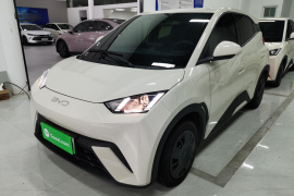 比亚迪 海鸥 2025款 305km 活力版