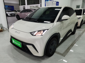 比亚迪 海鸥 2025款 305km 活力版