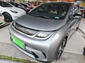 比亚迪 海豚 2023款 420km 时尚版