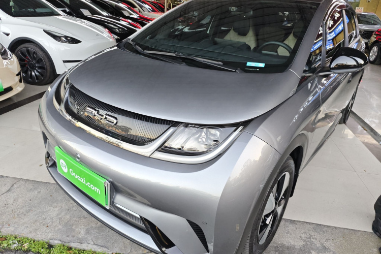 比亚迪 海豚 2023款 420km 时尚版车身外观1