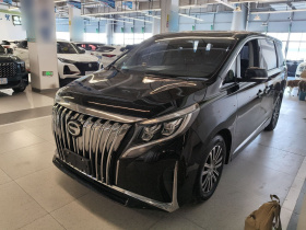 广汽传祺 传祺M8 2021款 领秀系列 390T 至尊版