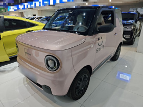 吉利银河 2024款 熊猫mini 200km 龙腾PRO版